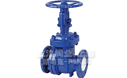 �մ�������